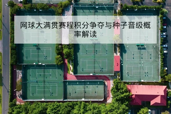 网球大满贯赛程积分争夺与种子晋级概率解读
